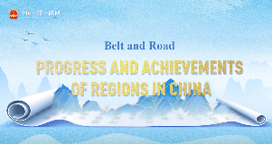 BRI: progress and achievements of regions in China