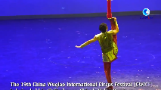 GLOBALink | Int'l circus festival in China celebrates cultural exchanges