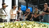 GLOBALink | Chinese, Australian college students visit ancient neolithic relics site