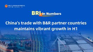 BRI in Numbers | China's trade with B&R partner countries maintains vibrant growth in H1