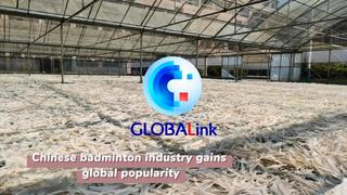 GLOBALink | Chinese badminton industry gains global popularity