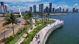 Flourishing underwater garden of Colombo Port City shows China's green footprint in Sri Lanka