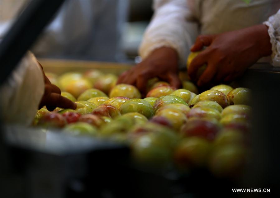 Chilean fruit producers attract Chinese with new flavors