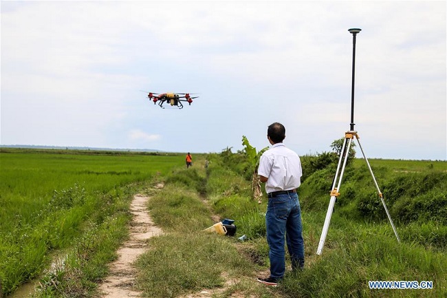 Feature: Chinese-owned rice farm skills farmers in rural Uganda to boost household incomes