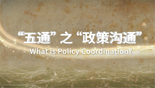 What is Policy Coordination?