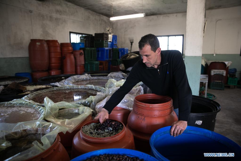 Producers of Greece's Kalamata olives seek to conquer China as next big market