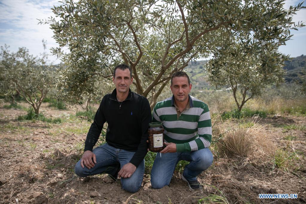 Producers of Greece's Kalamata olives seek to conquer China as next big market