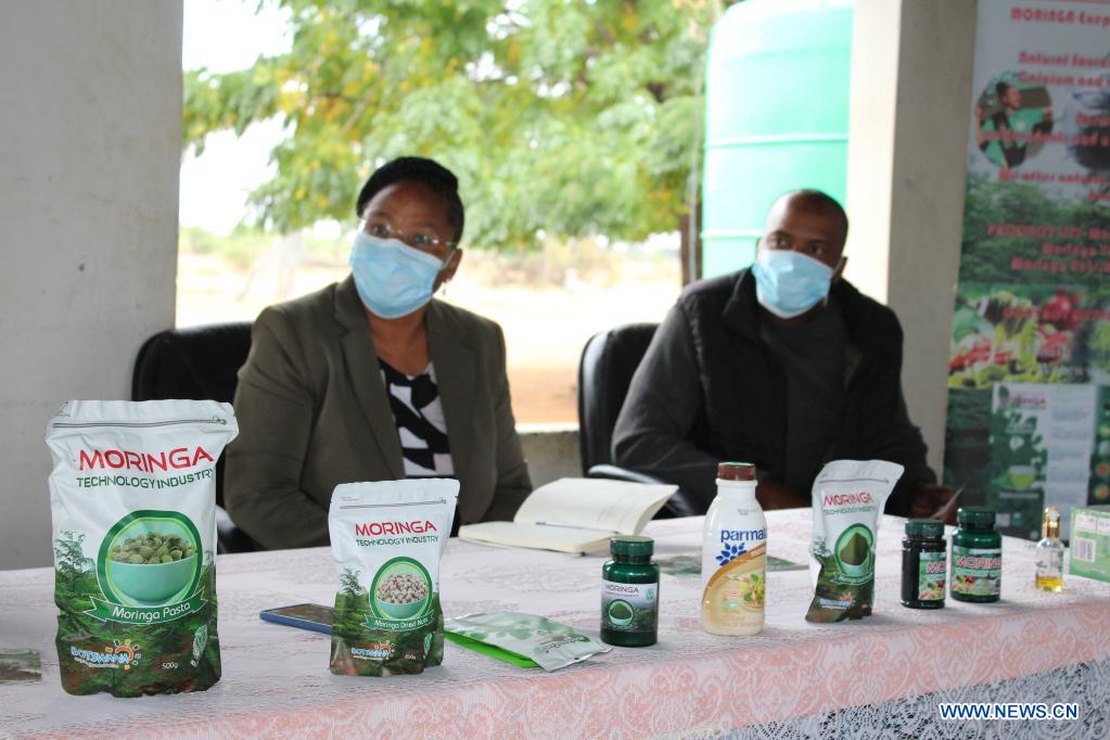 Chinese farmer in Botswana promoting moringa farming