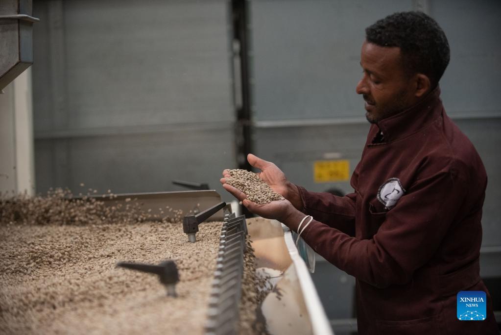 Interview: CIIE creates huge opportunity for Ethiopian coffee exporters