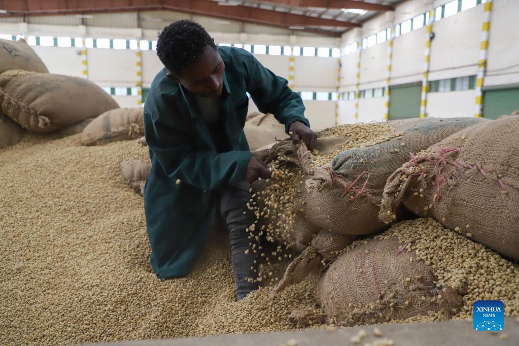 Interview: CIIE creates huge opportunity for Ethiopian coffee exporters