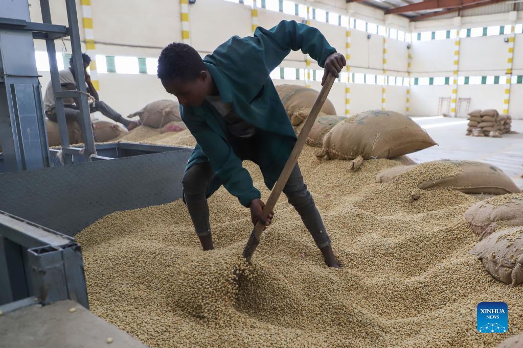 Interview: CIIE creates huge opportunity for Ethiopian coffee exporters