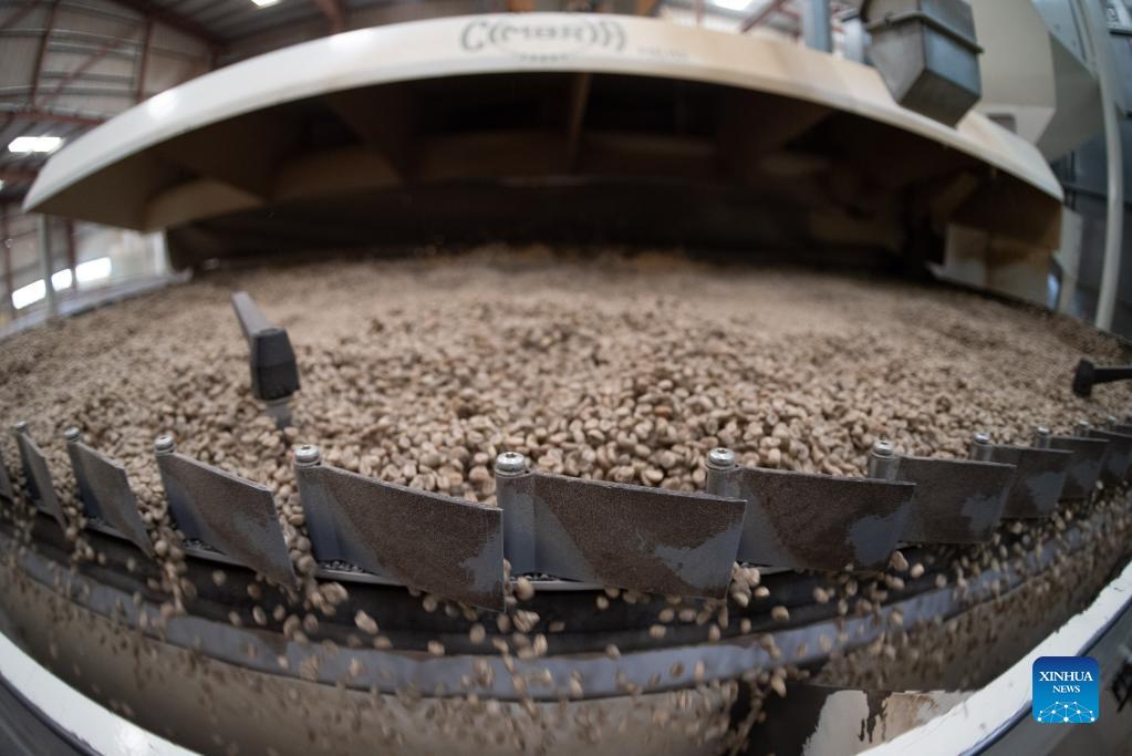 Interview: CIIE creates huge opportunity for Ethiopian coffee exporters