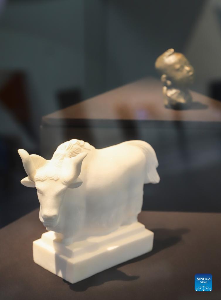 Modern Chinese sculptures on display at National Museum of Australia