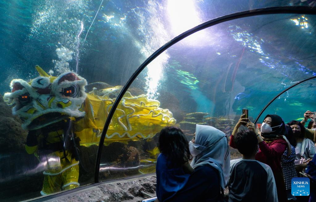 Divers perform lion dance under water to celebrate Chinese New Year in Jakarta, Indonesia