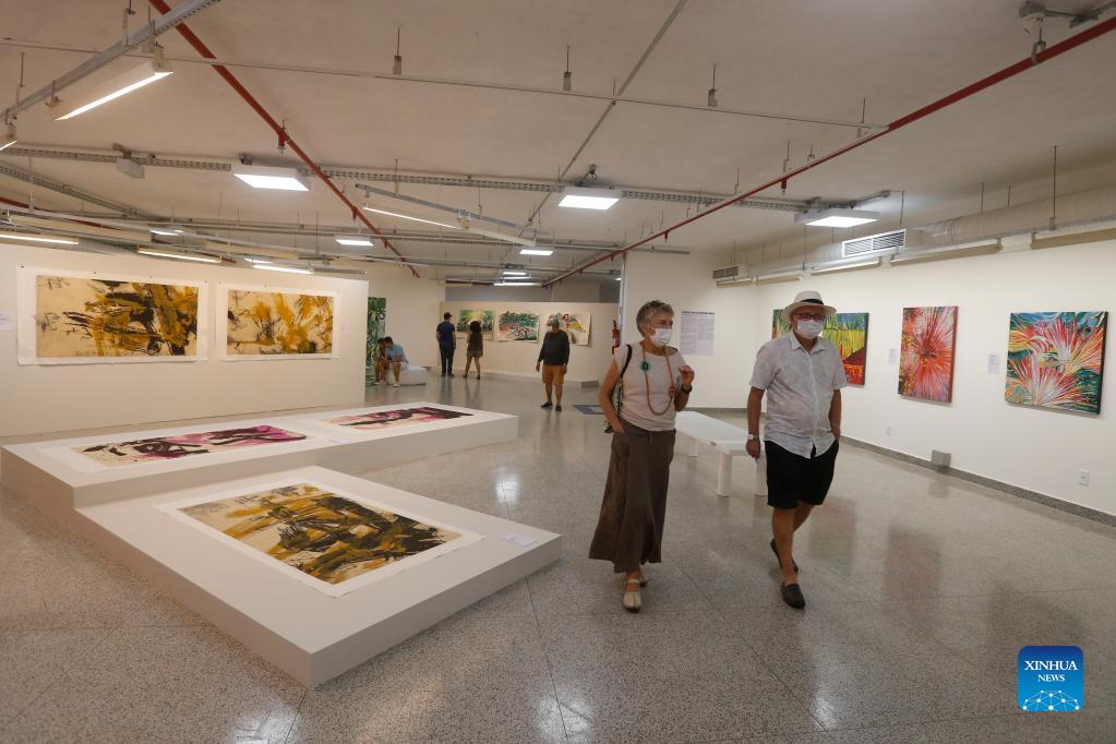 People visit exhibition featuring Chinese and Brazilian Art in Brazil