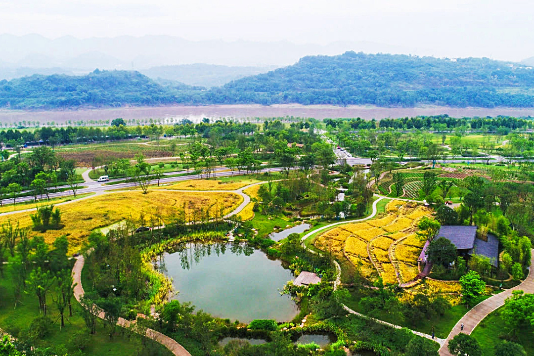 The Yangtze River Economic Belt green development demonstration project in Guangyang Island of Chongqing