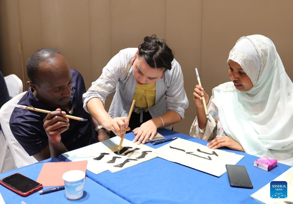 Chinese culture program for young entrepreneurs held in Djibouti