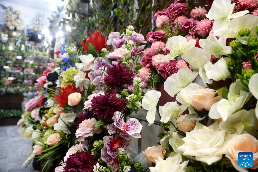 Feature: Chinese artificial flowers, plants grace homes, events in Pakistan