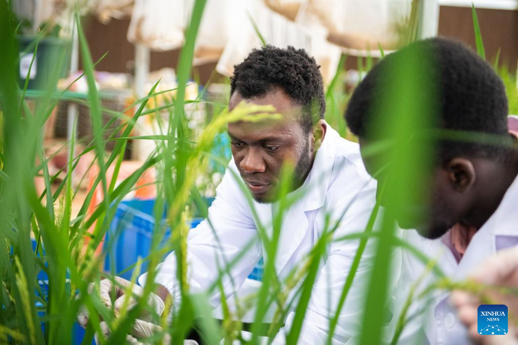 Nigerian student comes to China to acquire modern agricultural knowledge