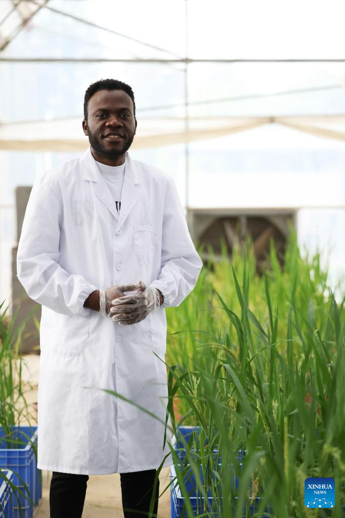 Nigerian student comes to China to acquire modern agricultural knowledge